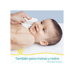Pampers-Toallitas-Humedas-Pampers-Sin-Perfume-x-48-Unidades-7500435151511_img7