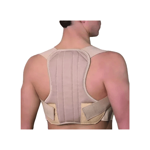 Corrector Postural Bander Green Talle L x 1 unid