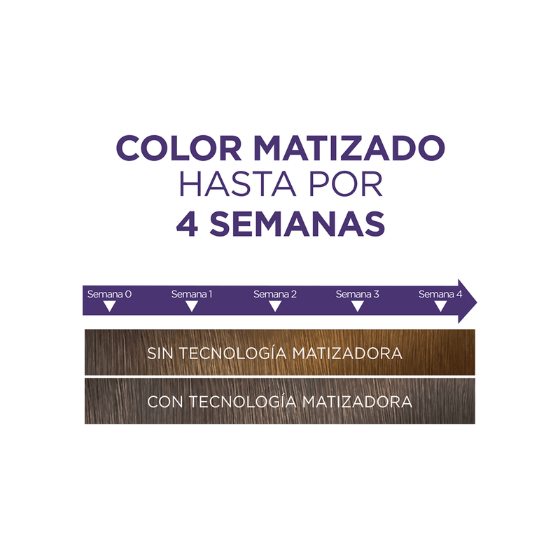 2119794_Excellence-617-Rubio-Oscuro-Ceniza_img1