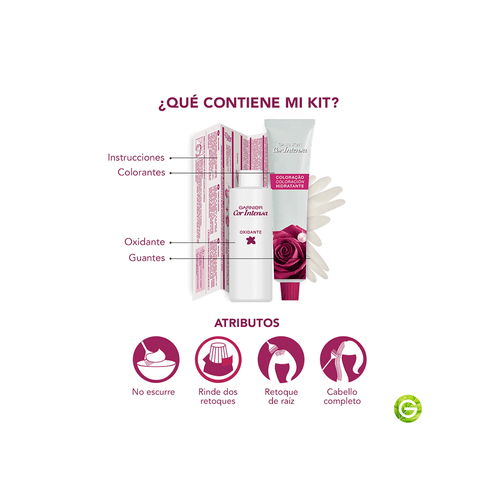 Kit Tintura Permanente Cor Intensa