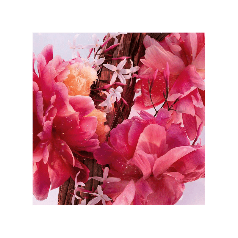 Perfume-Miss-Dior-Parfum-x-80-ml-Dior