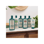 Capilatis-Shampoo-Capilatis-Ortiga-Concentrado-x-420-ml-7792640007701_img1
