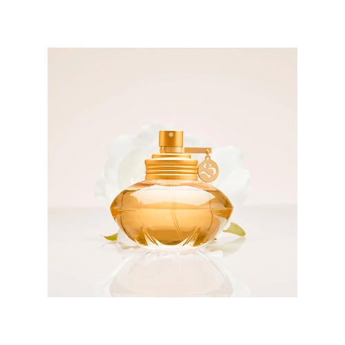 Perfume Shakira By Shakira Edt x 50 ml